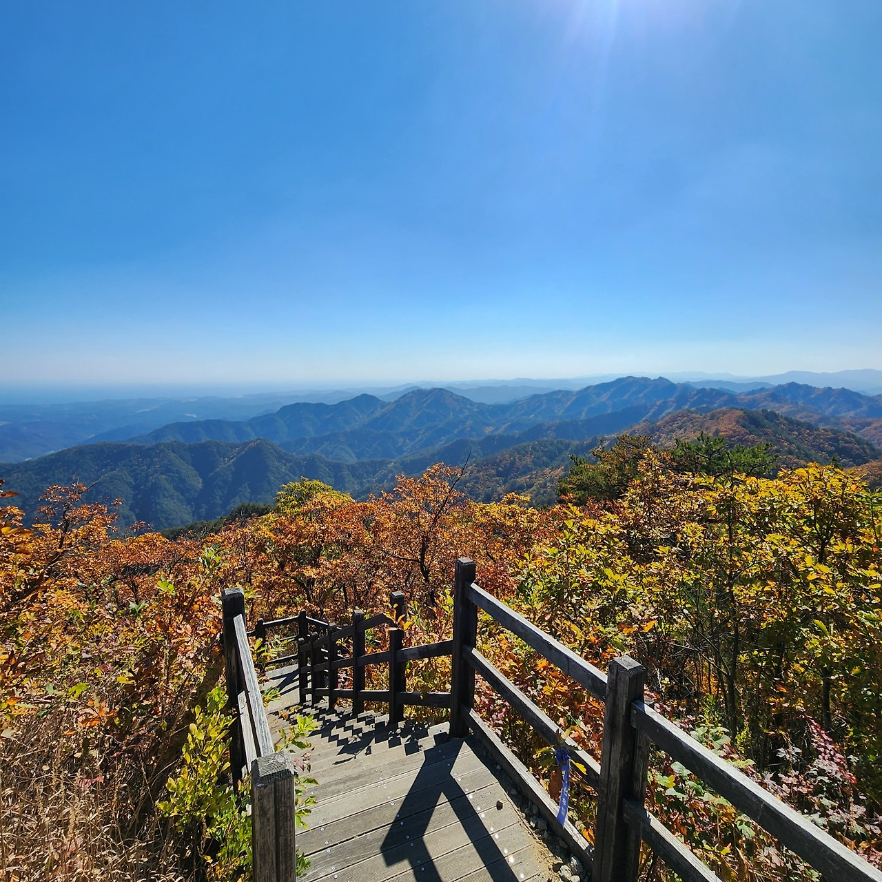 응봉산 등산코스 지도