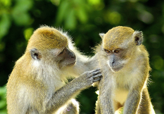 띠별 운세 10월 31일
