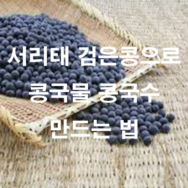 서리태 검은콩으로 콩국물 콩국수 만드는 법