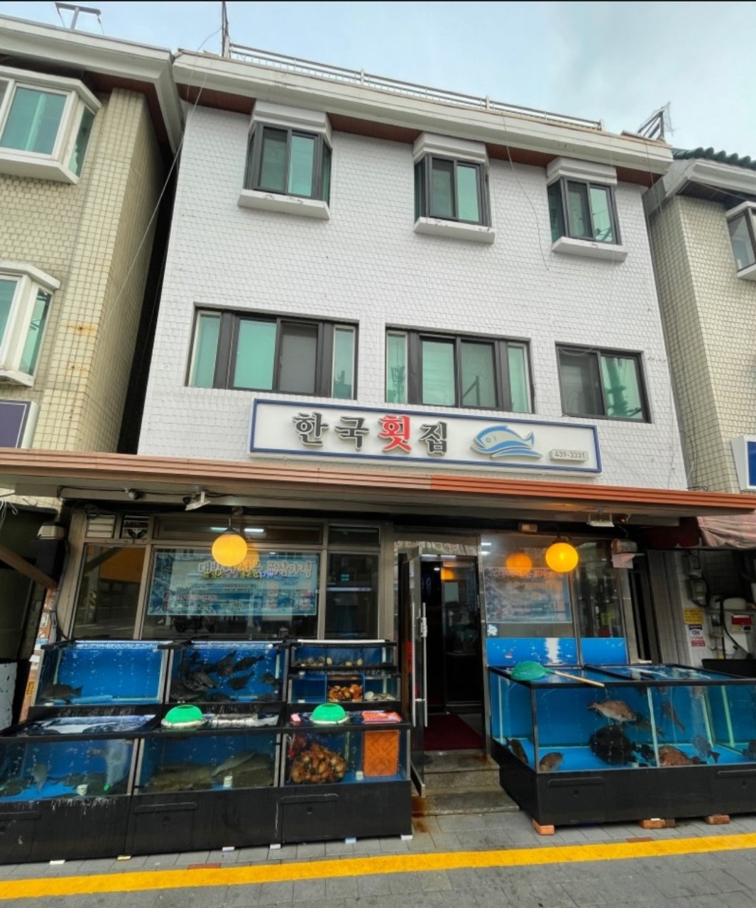 중랑 서울장미축제