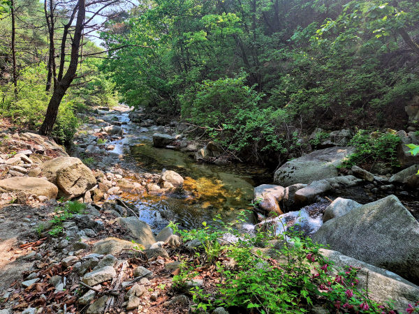 바위 사이로 맑은 물이 흐르는 아름다운 삼한계곡 풍경