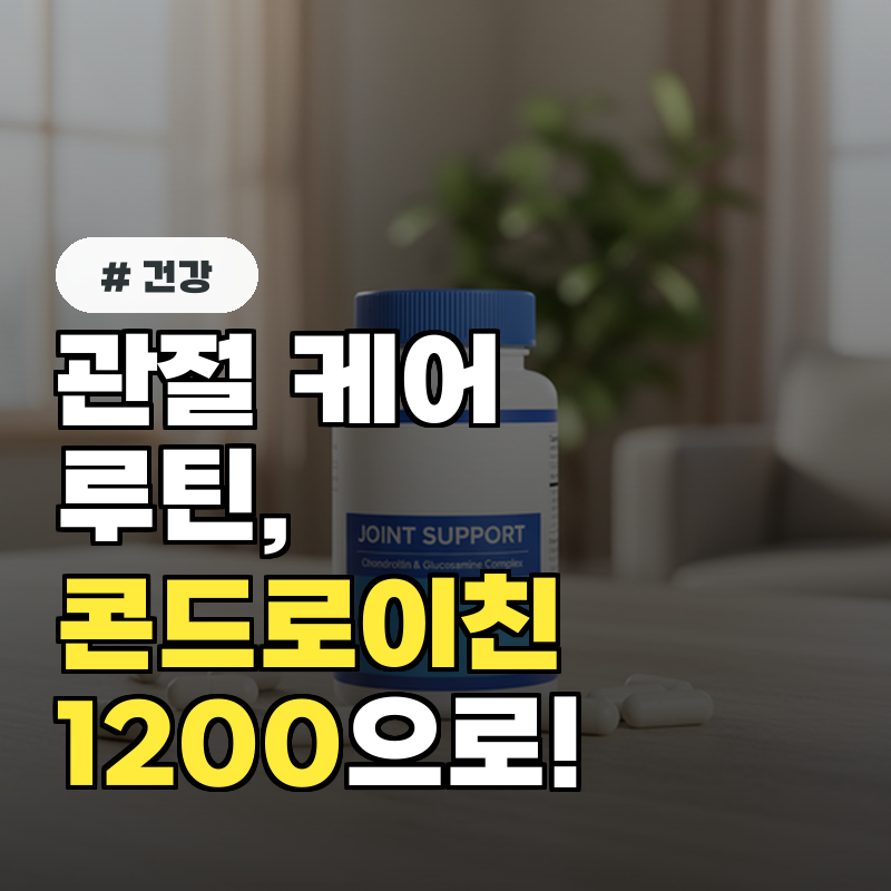 관절 케어 루틴, 콘드로이친1200으로!
