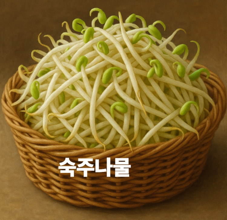 다이어트채소 변비예방 체중관리 근육생성 숙주나물 효능 영양성분