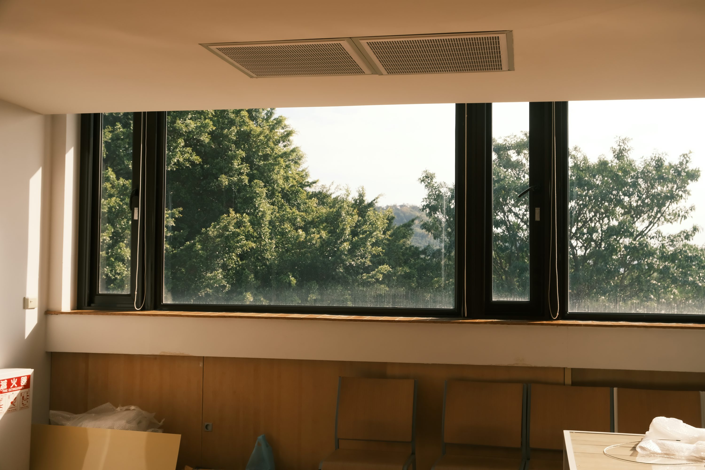 "햇살이 들어오는 큰 창문과 그 너머의 초록 풍경"