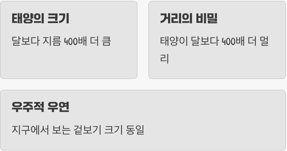 우연이 만든 완벽한 크기의 비밀