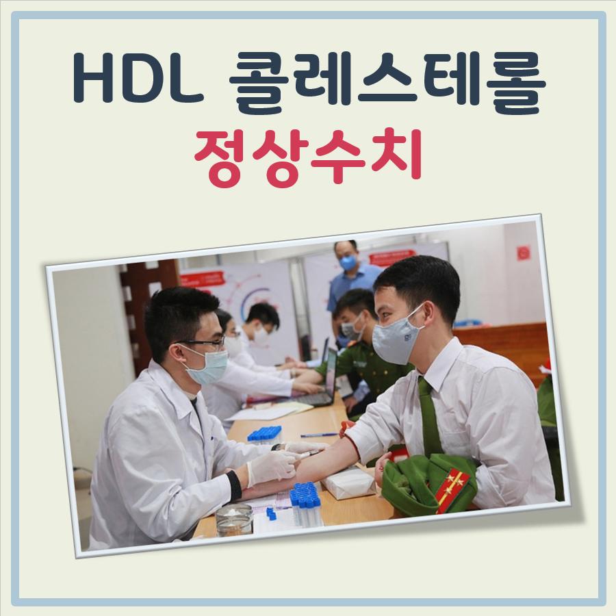 HDL콜레스테롤 정상수치 대표 이미지