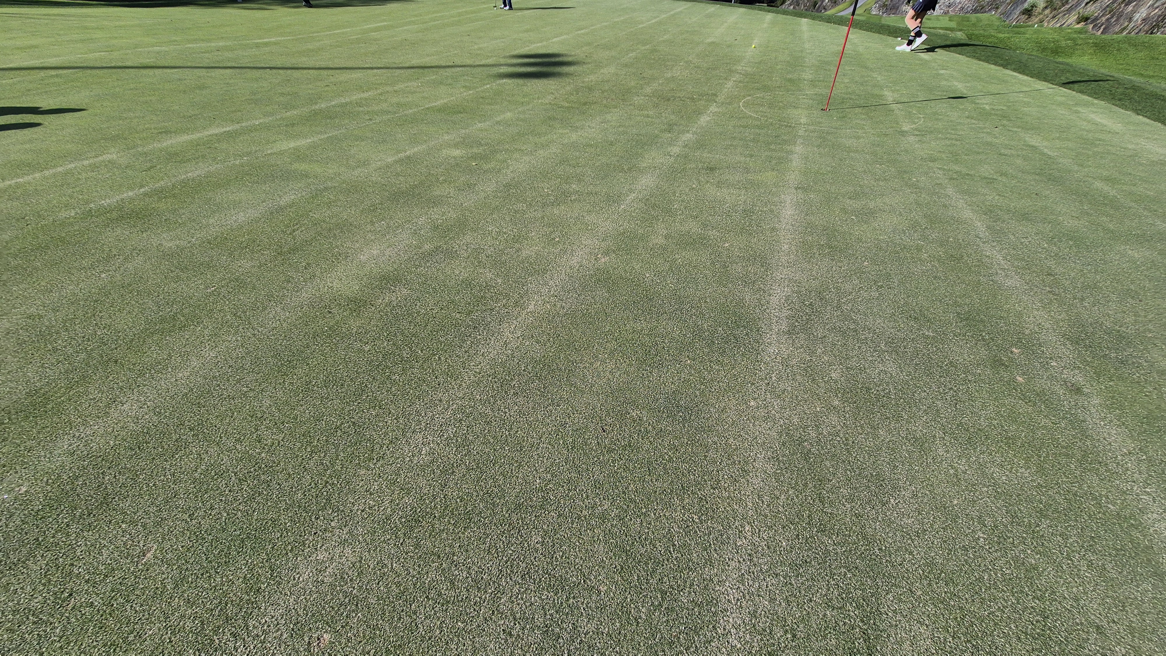 대영힐스cc 청-력 코스 라운드 후기