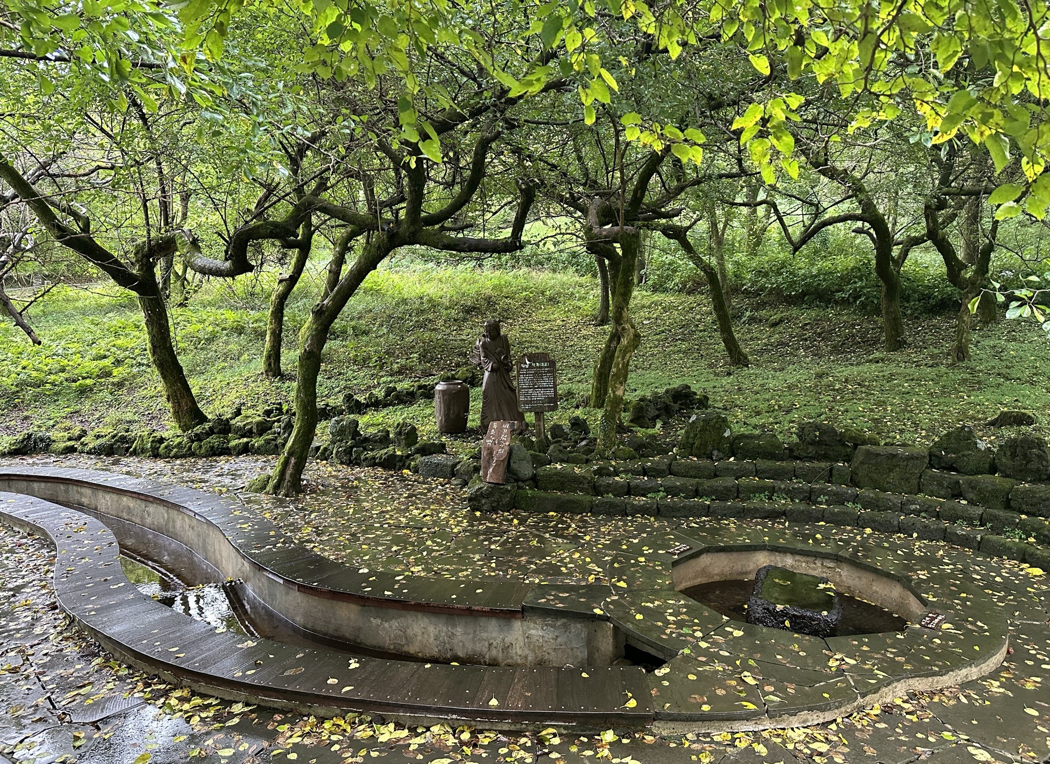 절물 휴양림 족욕탕