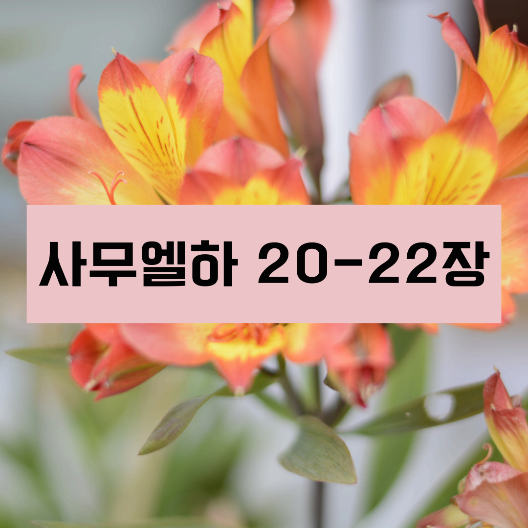 사무엘하20_22장