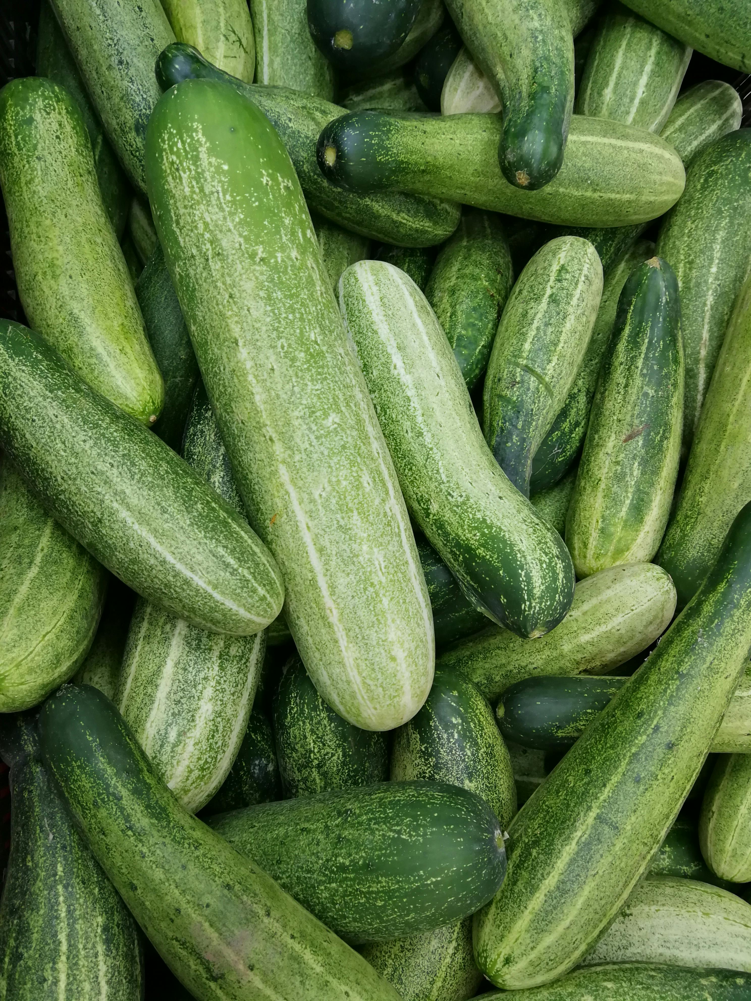 오이