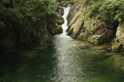 치악산 국립공원 실시간 cctv