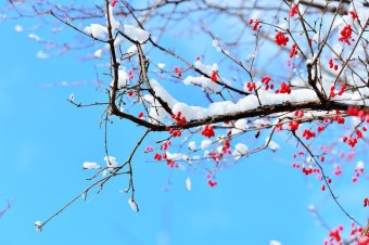 귀뚜라미 보일러 온수가 나오지 않을 때