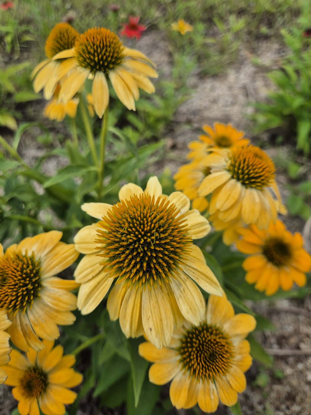 감사 명언 감사 일기