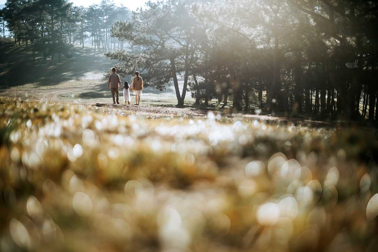 알바 월급 계산기