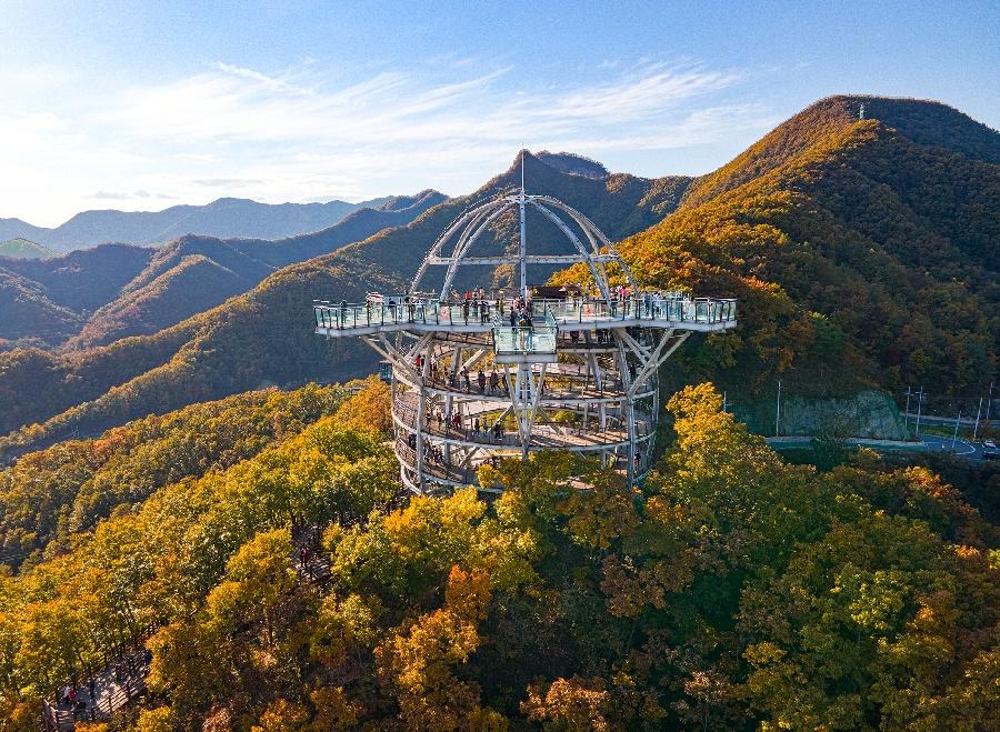 단양 만천하 스카이워크