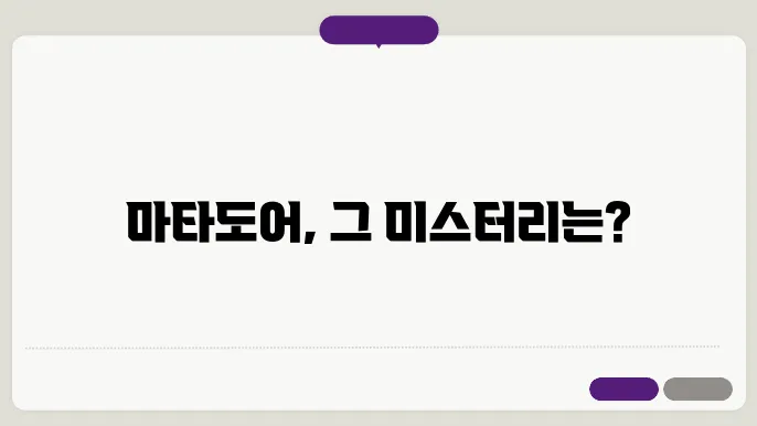 마타도어의 역사적 배경