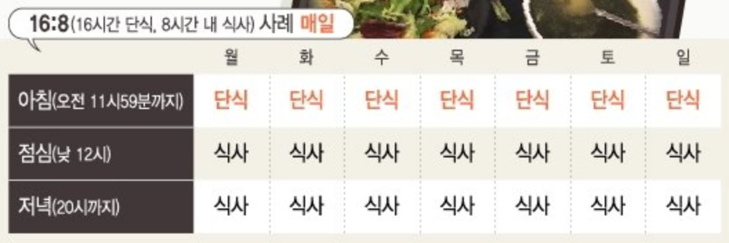 간헐적 단식 16:8 5:2 방법