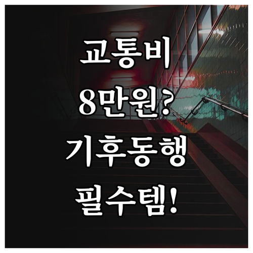 월 교통비 8만원 이상 필수 아이템 ..