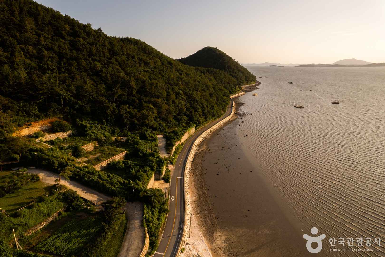 여자만갯벌