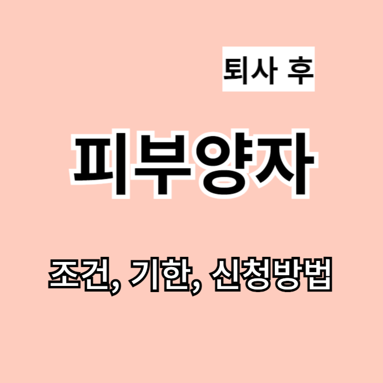 피부양자 조건&#44; 기한&#44; 신청방법