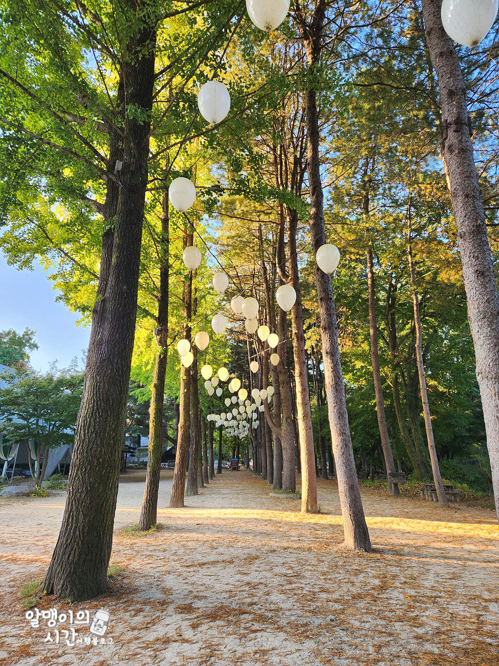 #27 엄마랑 춘천 남이섬 모녀 백패킹 _캠핑 초보자 박지 추천 - undefined - 첫 배 들어오기 전 고요한 남이섬의 아침 #27 엄마랑 춘천 남이섬 모녀 백패킹 _캠핑 초보자 박지 추천 - undefined - 첫 배 들어오기 전 고요한 남이섬의 아침