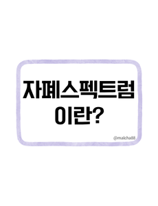 자폐스펙트럼이란