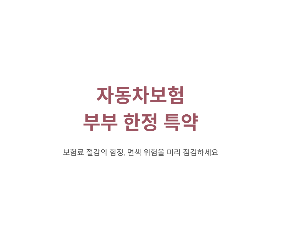 자동차보험 부부 한정 특약