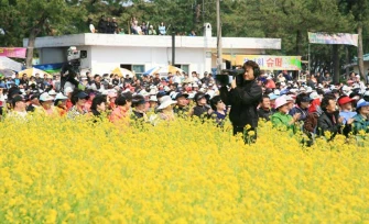 삼척 맹방 유채꽃 축제 프로그램&amp;#44; 주차장 및 교통 총정리(+주변 관광 명소)