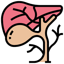 쓸개 제거 수술, 꼭 필요한 이유와 준비 방법은?