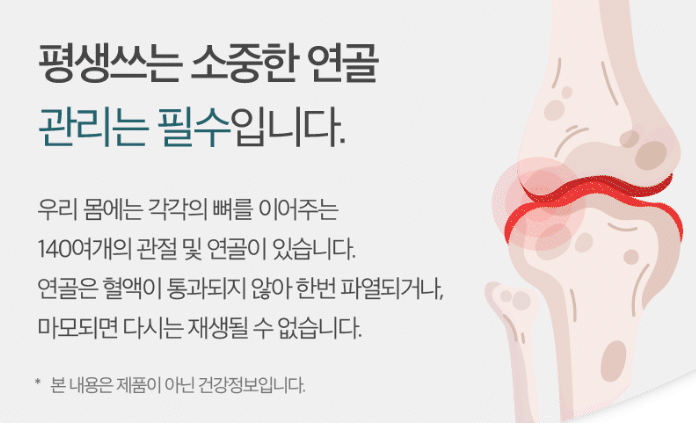 시크리터 콘드로이친 복용법