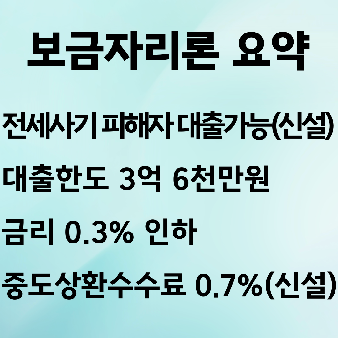 2024 보금자리론 요약