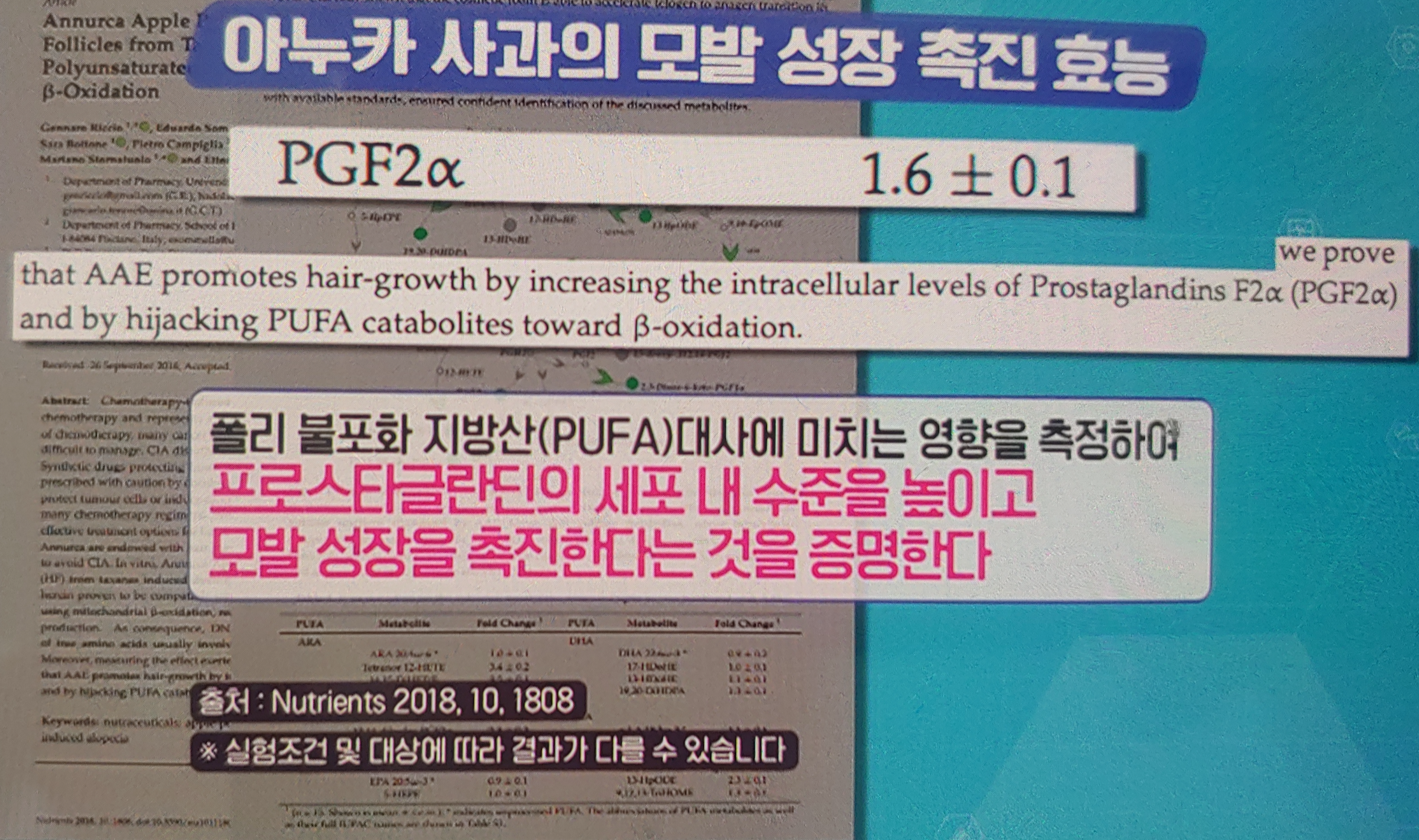 아누카사과 분말 효능