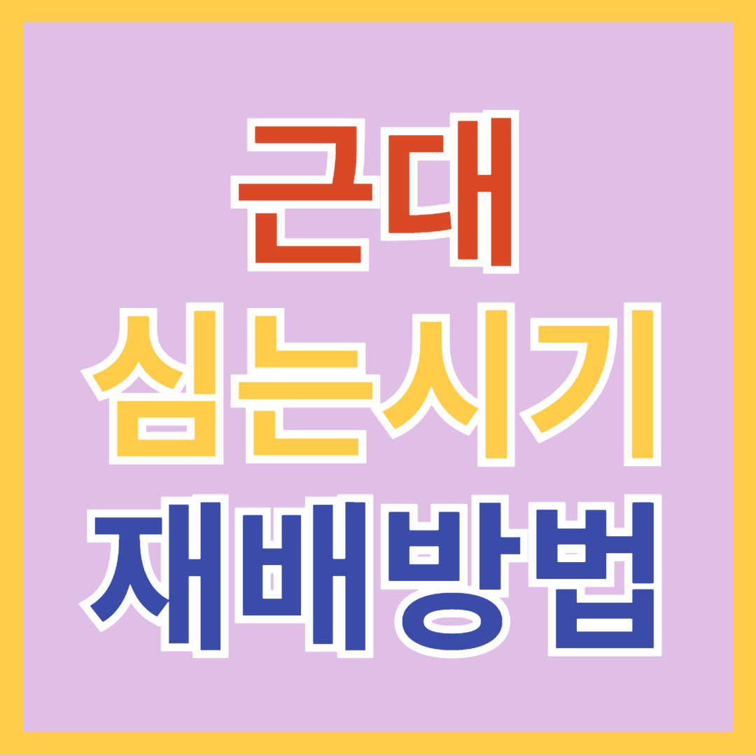 근대 모종 심는 시기&#44; 재배 방법&#44; 키우기&#44; 물주기&#44; 비료 주기&#44; 수확시기