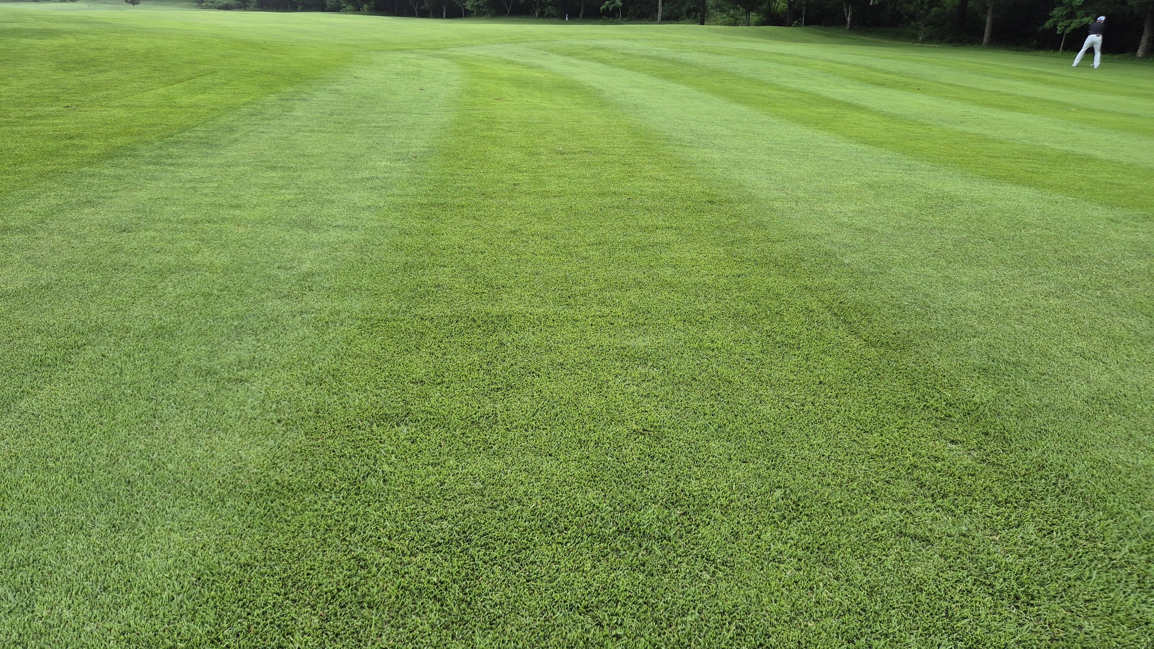 뉴스프링빌cc 라운드 후기