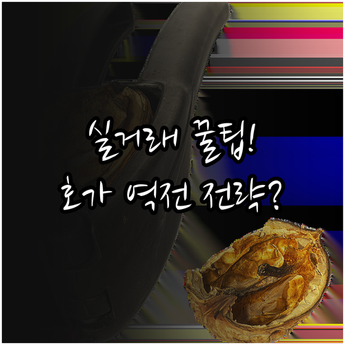 객관적 실거래가 데이터 기반 호가 협..