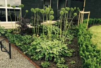 텃밭 가꾸기 모종 선택 파종 시기 물주기 비료 초보 가이드_13