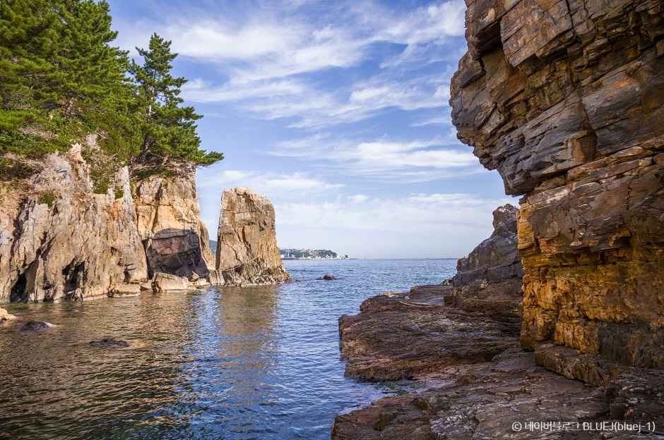 동해 고불개해변