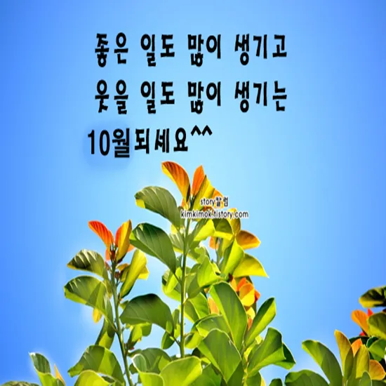 10월 인사말 문구 모음 정리_1