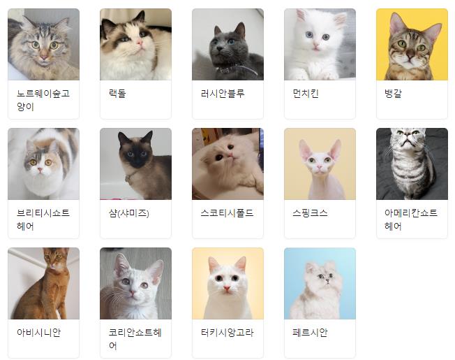 세계 고양이의 날