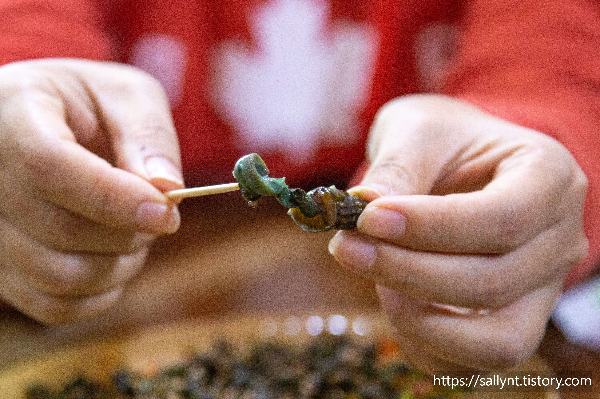 다슬기의 영양 성분