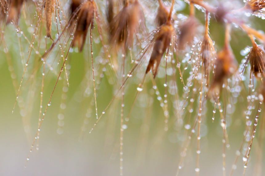 계절의 변화를 세분화한 24 절기 중 '한로' 이해하기