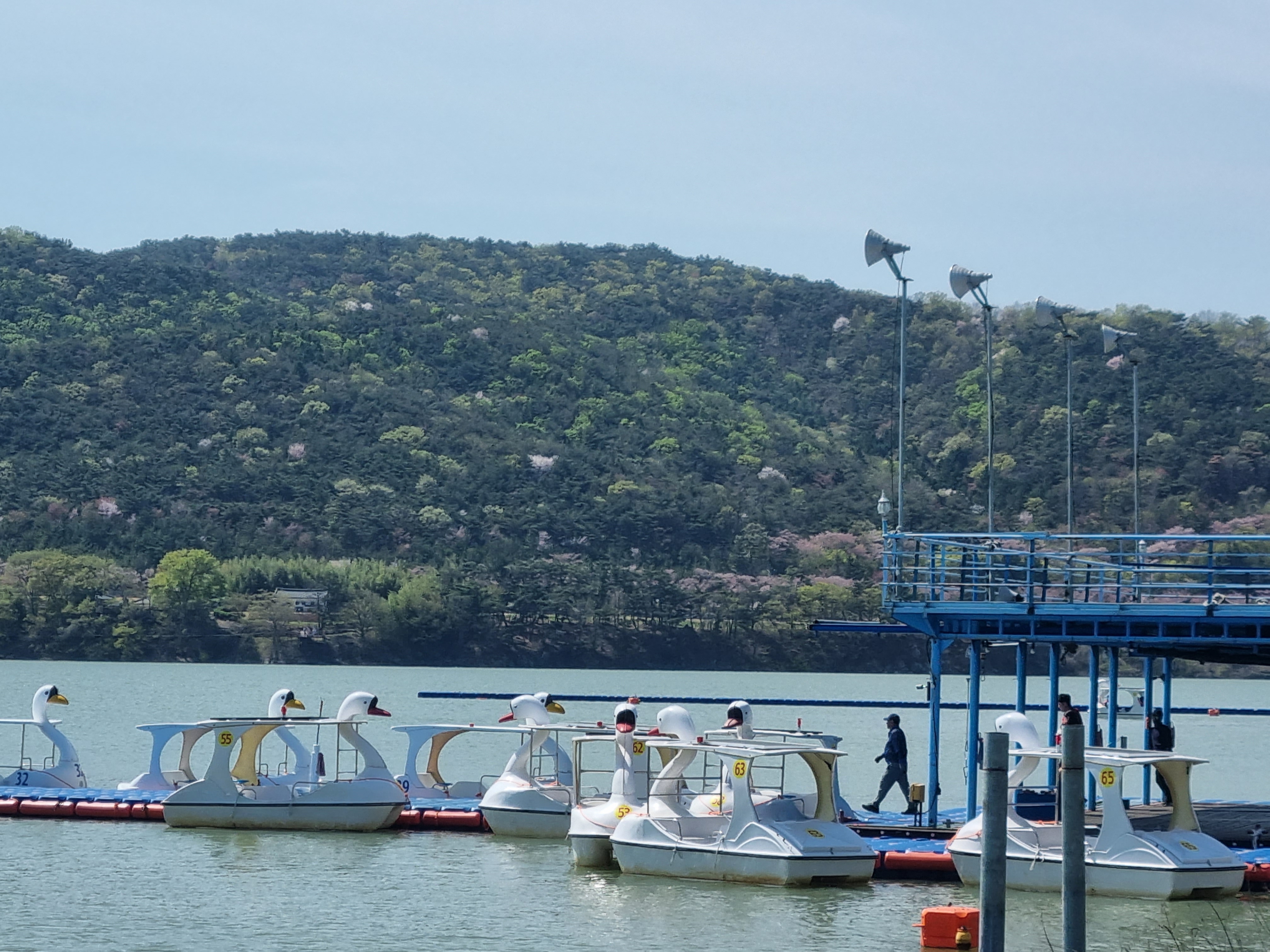 경주 보문단지 오리배