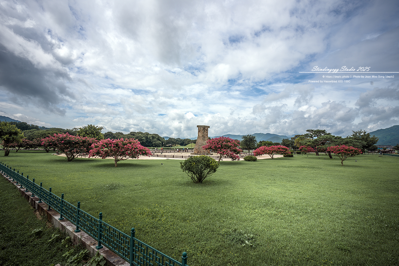 #경주 #첨성대 #반월성 #배롱꽃