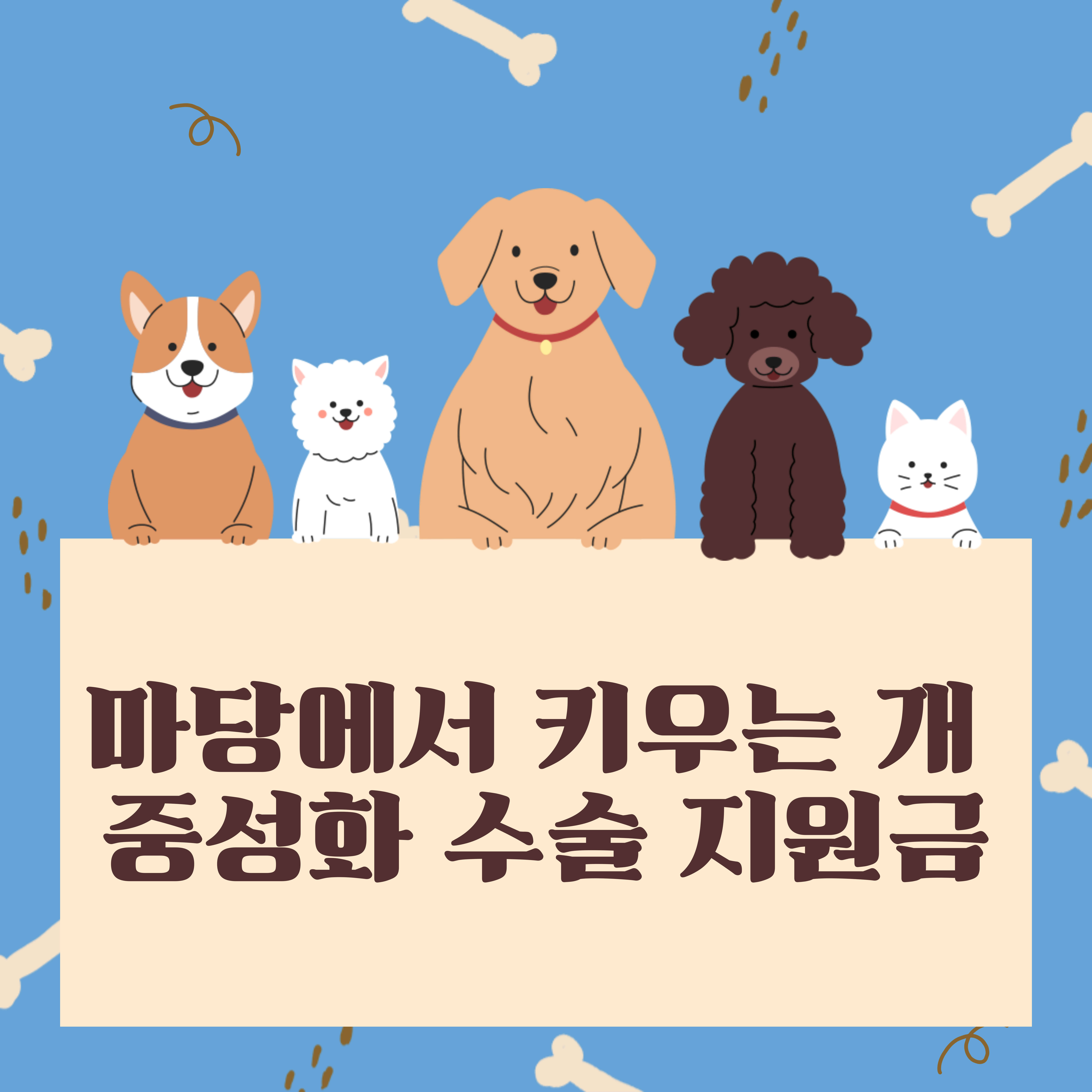 마당 개 중성화 수술비 지원금 안내