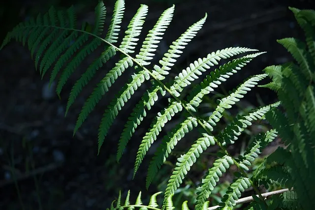 남겨서뭐하게 아산 염티반점 콩나물 탕수육 맛집 정리_5