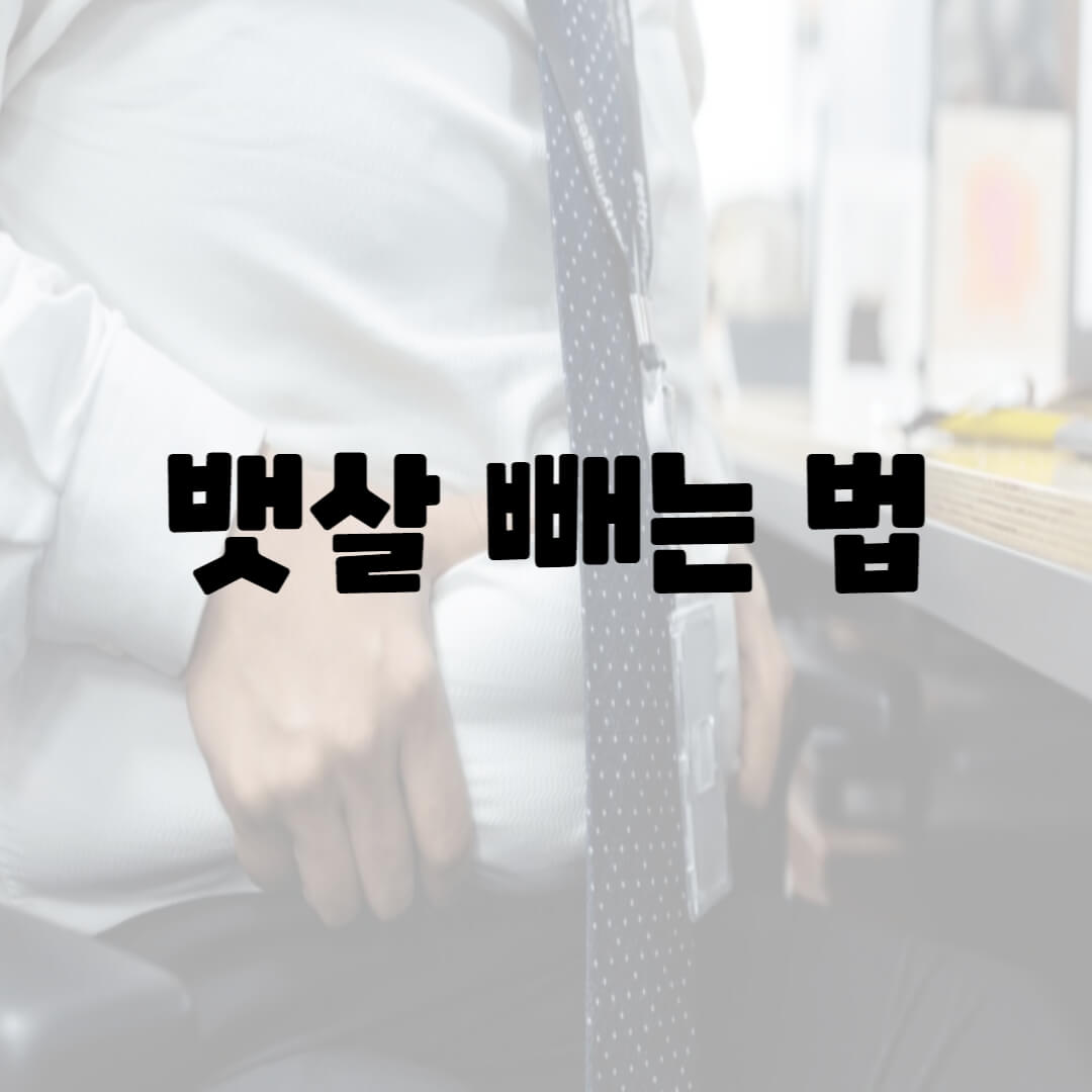 뱃살빼는방법