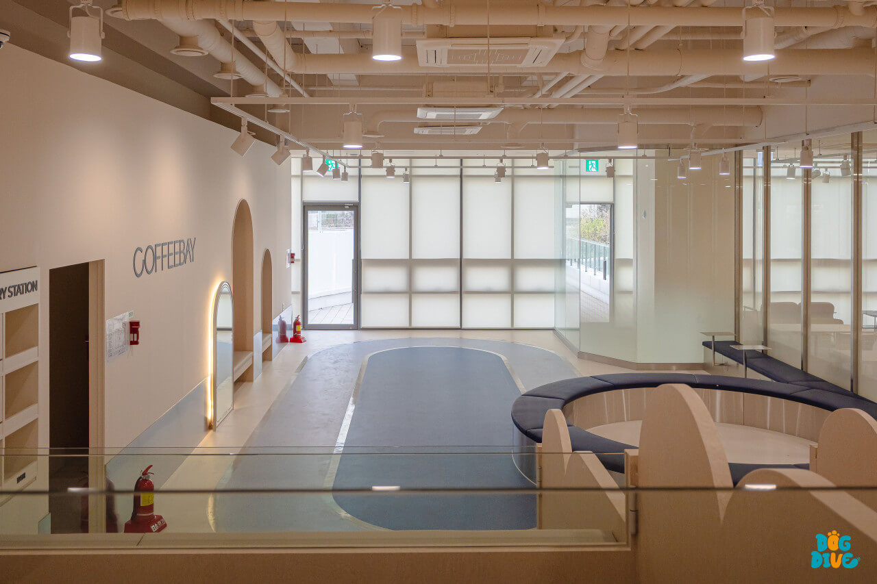 고양시 애견카페 추천 BEST 5 : 강아지와 함께 가기 좋은 실제 운영 카페 총정리