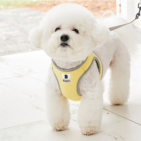 강아지 가슴 줄 순위 TOP 5