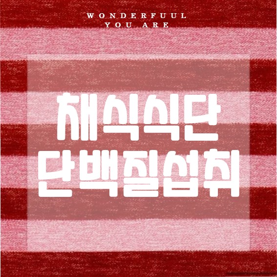 채식 단백질 섭취를 위한 식단과 팁 가이드