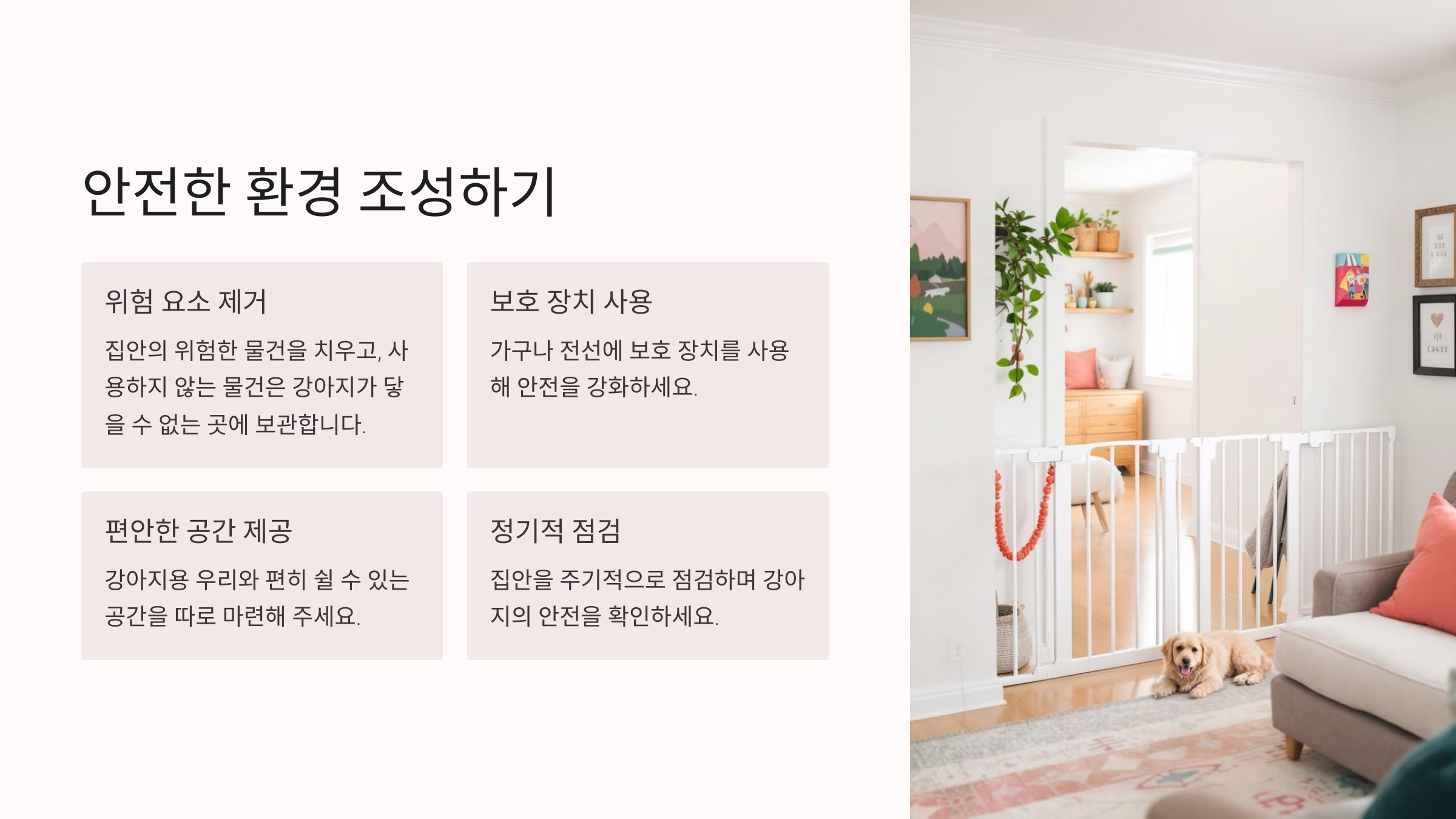 안전한 환경 조성하기